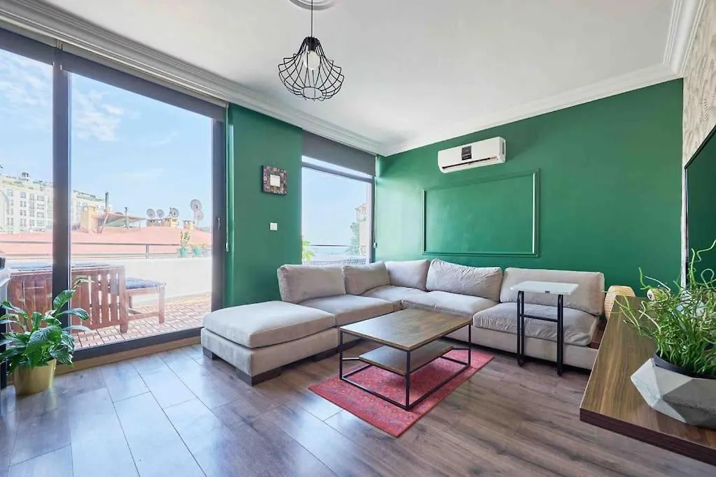 A Green Flat In The Center With Terrace Istanbul Apartment