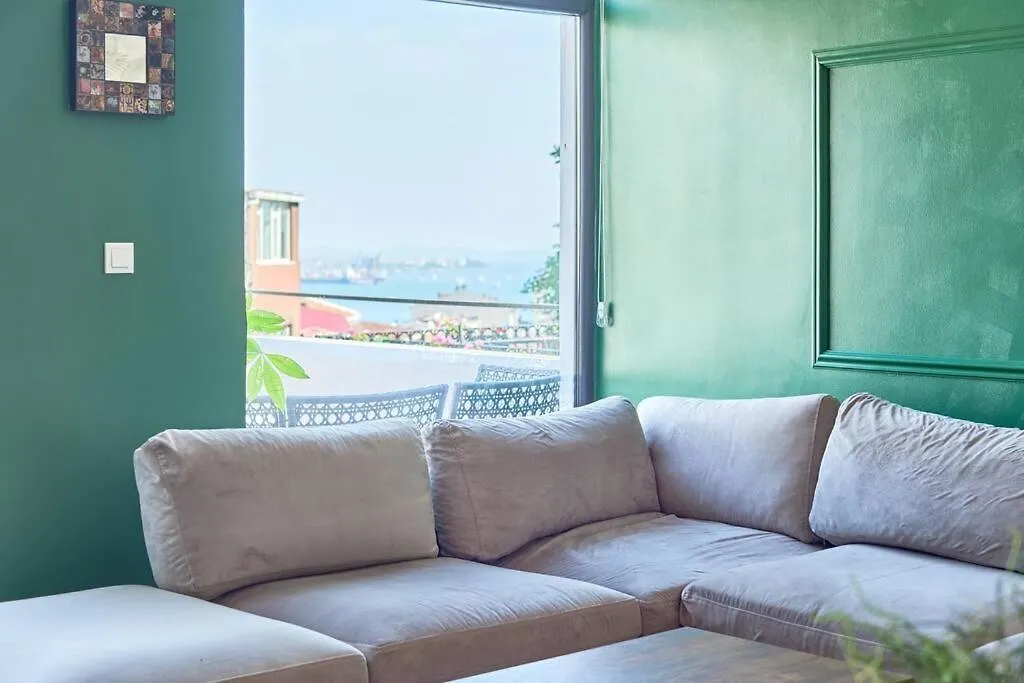 A Green Flat In The Center With Terrace Istanbul